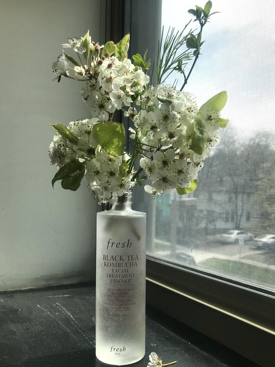 An empty Fresh essence bottle reused as a vase for blossom